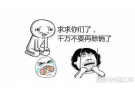 寿光融资清欠服务